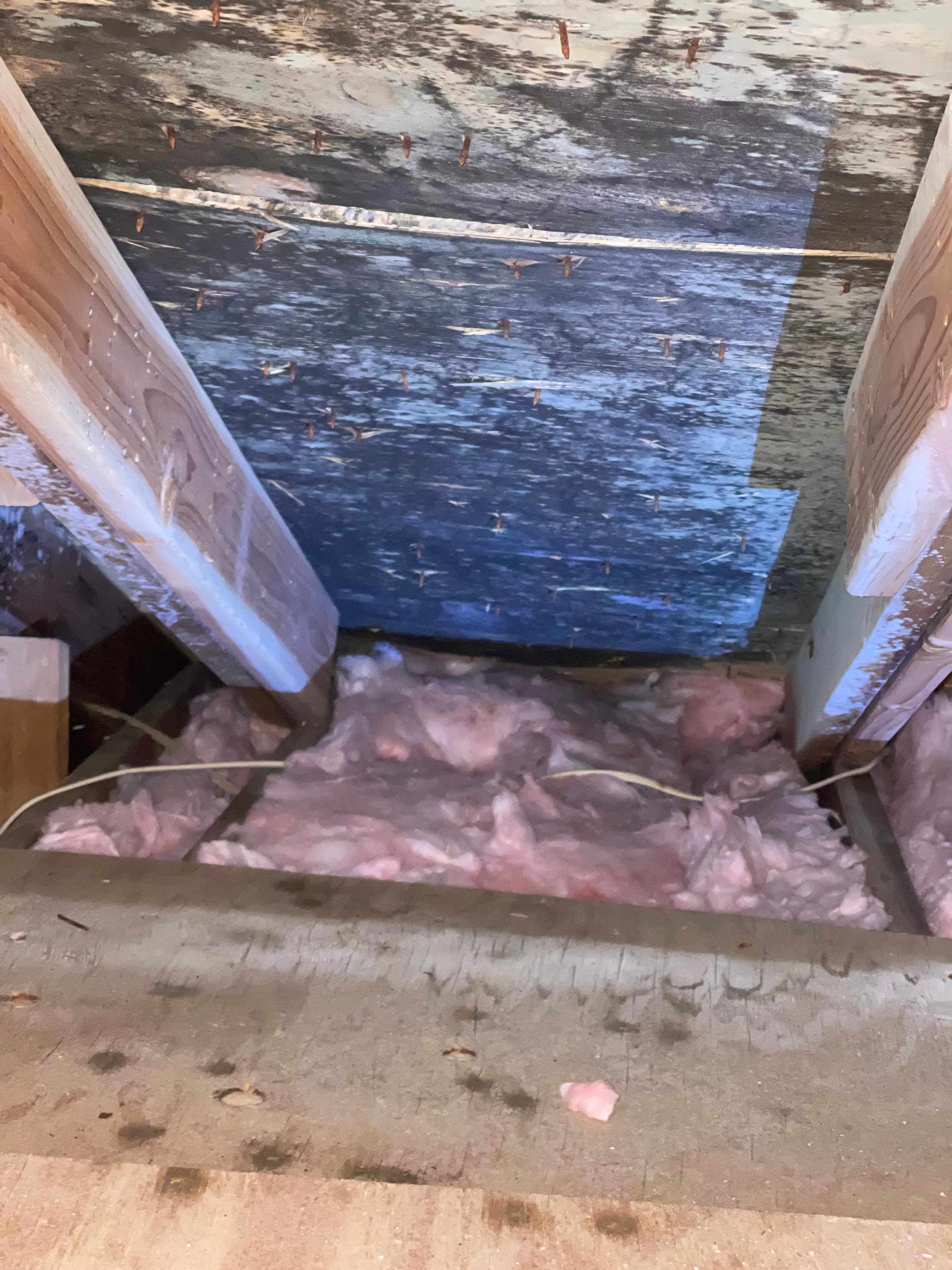 Crawl space mold and moisture control — Suffolk County NY