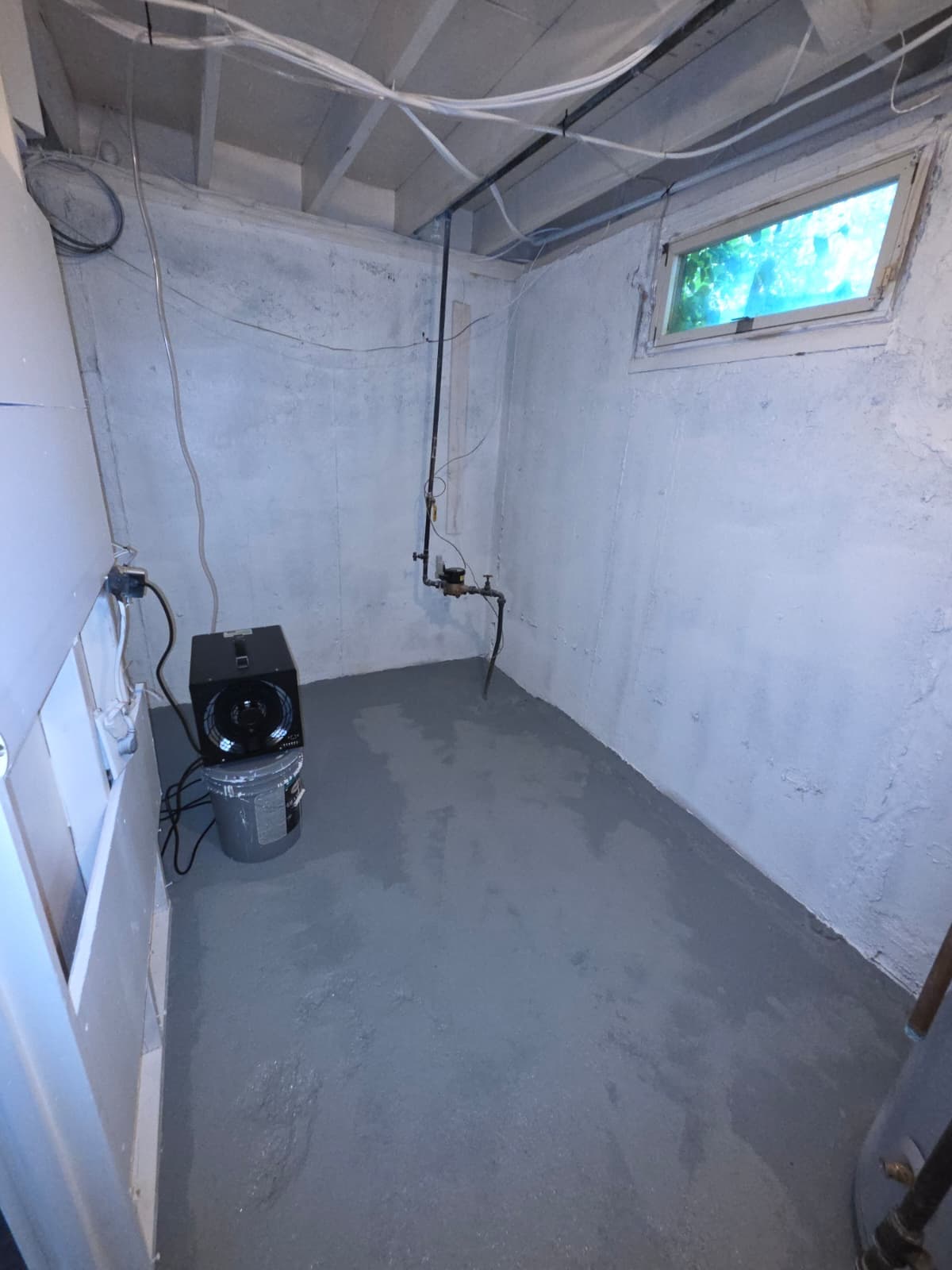 Same basement wall cleaned, treated and sealed after mold remediation — Suffolk County NY