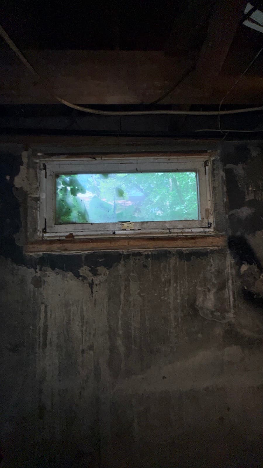 Basement wall covered in mold around window before remediation — Suffolk County NY